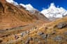 Annapurna circuit image